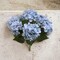 UV Baby Blue Hydrangea Bush with 7 Silk Flowers &#x26; Leaves by Floral Home&#xAE;